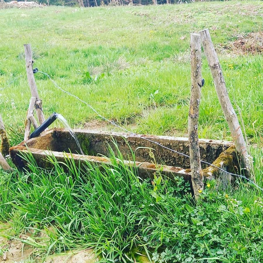 Landhaus Eibelesee Oberstaufen Εξωτερικό φωτογραφία