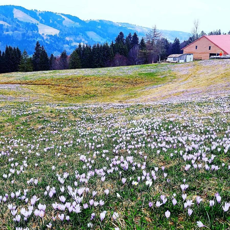 Landhaus Eibelesee Oberstaufen Εξωτερικό φωτογραφία