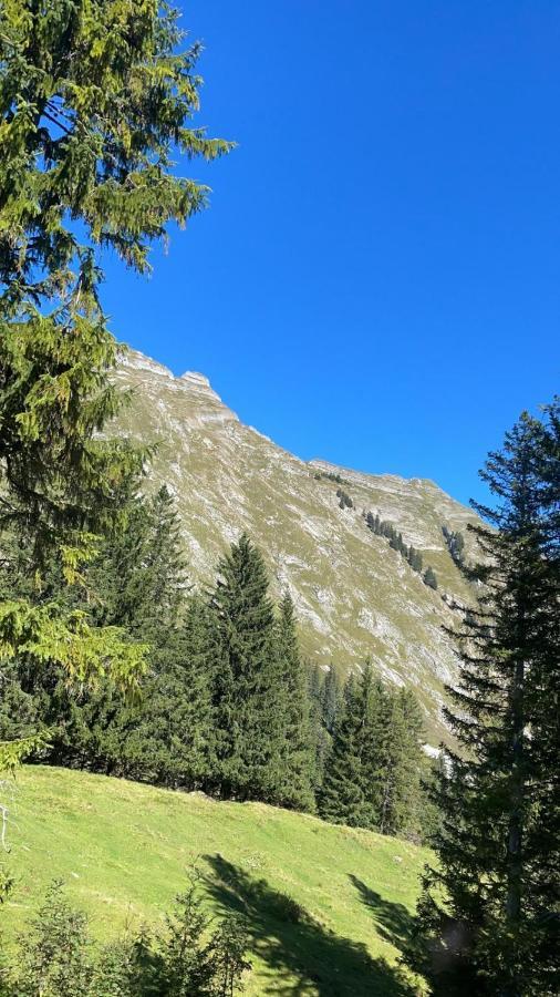 Landhaus Eibelesee Oberstaufen Εξωτερικό φωτογραφία