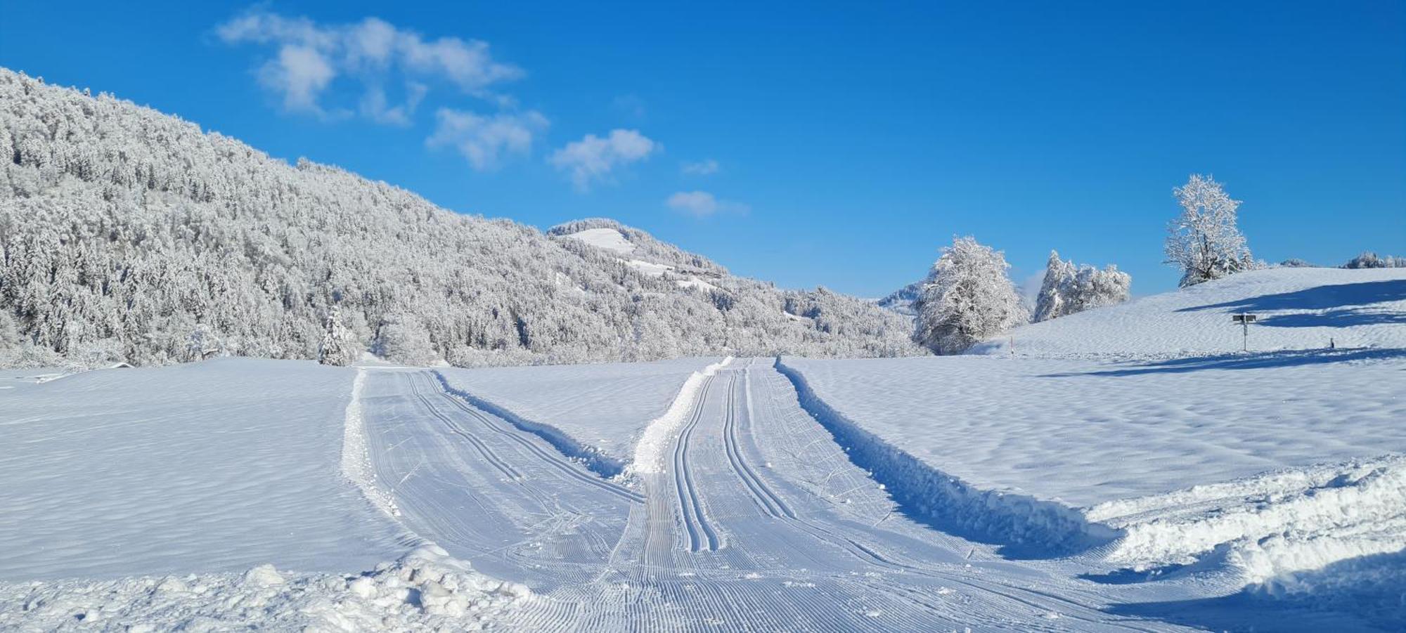 Landhaus Eibelesee Oberstaufen Εξωτερικό φωτογραφία