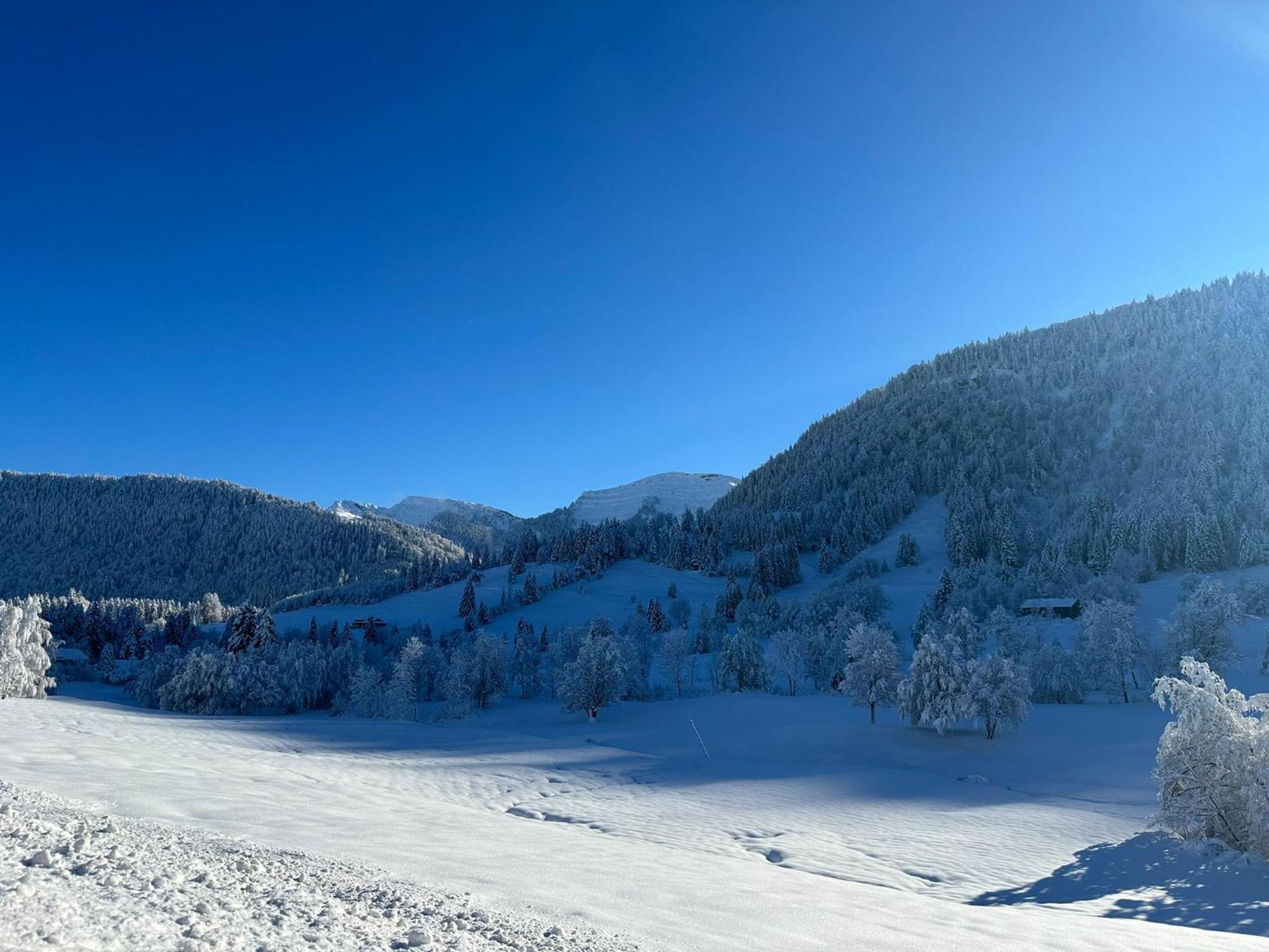 Landhaus Eibelesee Oberstaufen Εξωτερικό φωτογραφία