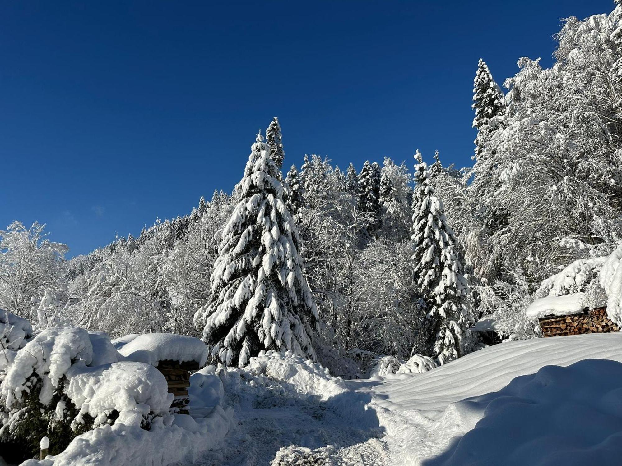 Landhaus Eibelesee Oberstaufen Εξωτερικό φωτογραφία