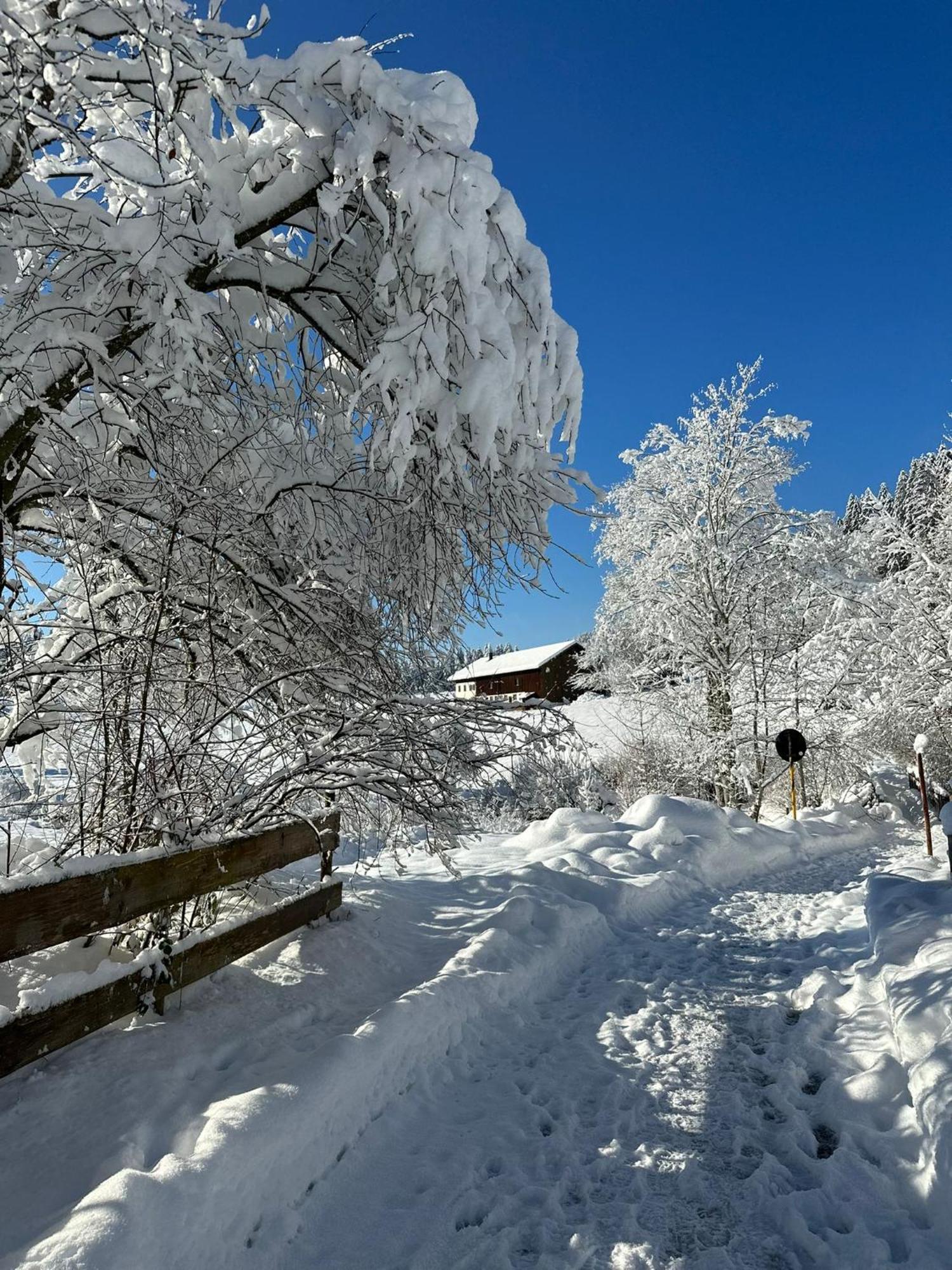 Landhaus Eibelesee Oberstaufen Εξωτερικό φωτογραφία