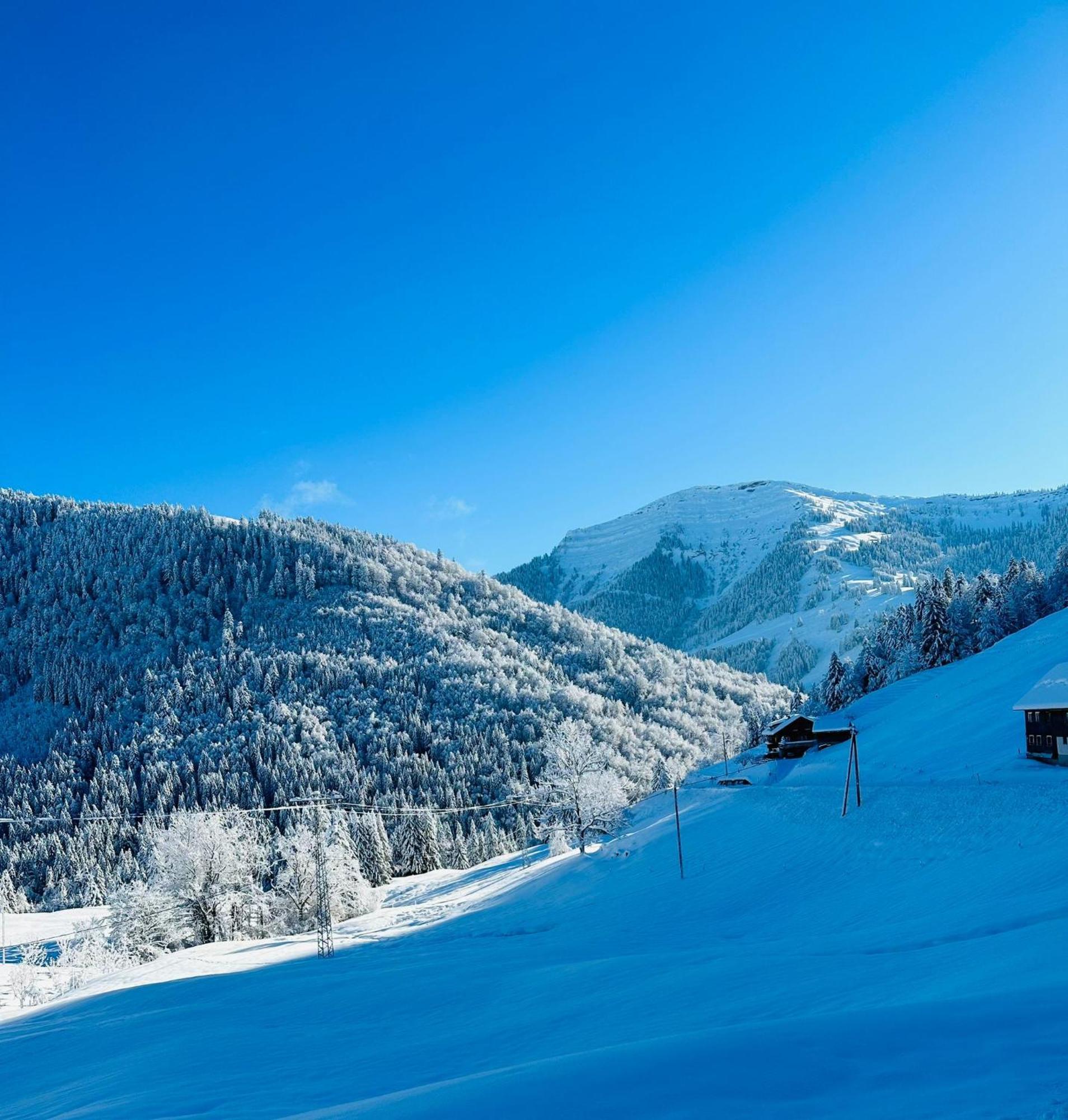 Landhaus Eibelesee Oberstaufen Εξωτερικό φωτογραφία