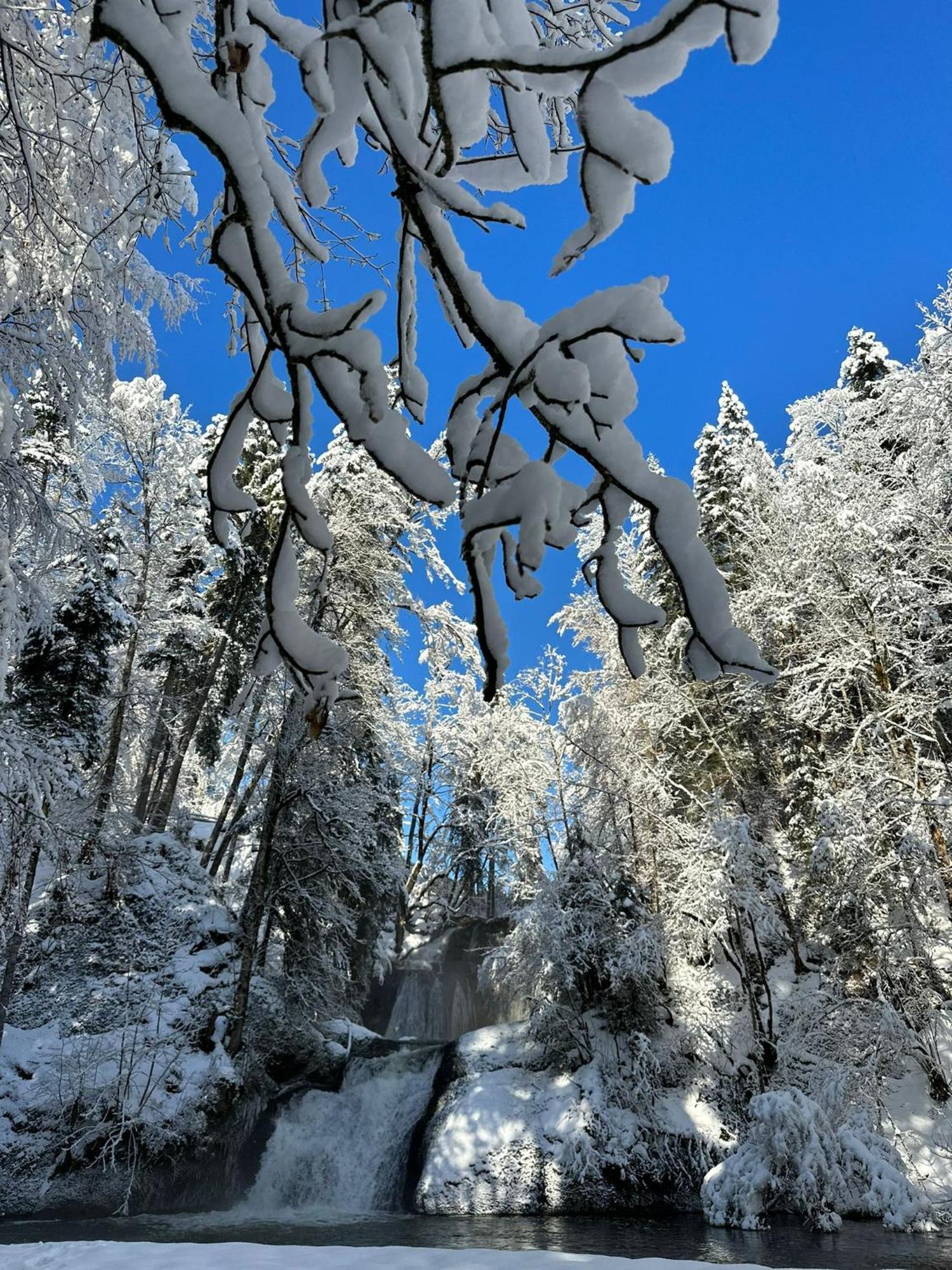 Landhaus Eibelesee Oberstaufen Εξωτερικό φωτογραφία
